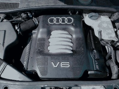 pic2.jpg