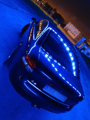 pic6.jpg
