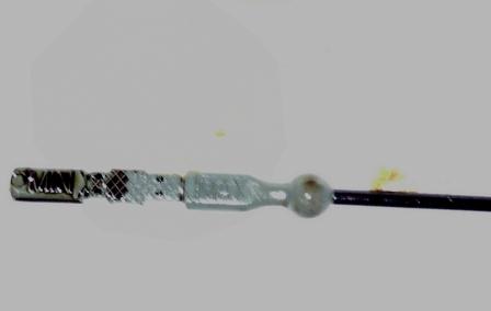 SNC00238.jpg