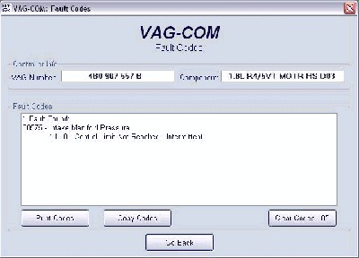vag1.JPG