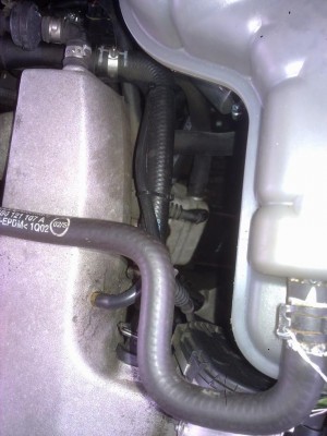 201304031054.jpg