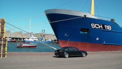 SAM_0597.JPG