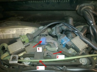 audi.jpg