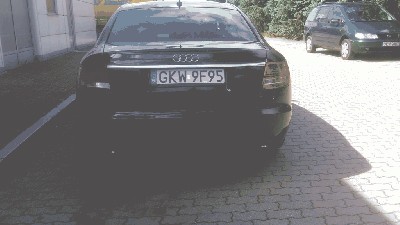 DSC_0811.jpg