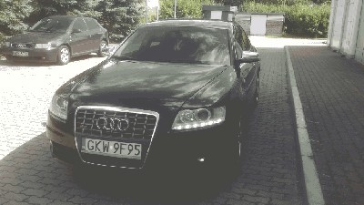 DSC_0807.jpg