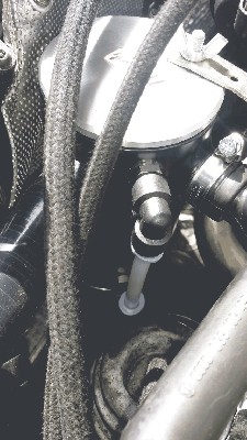 20150530_110419.jpg