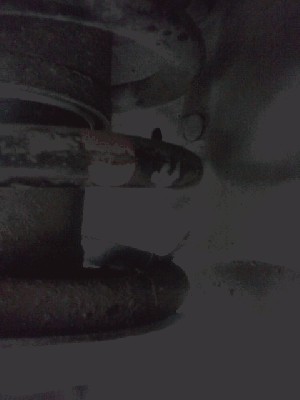 CAM00413.jpg