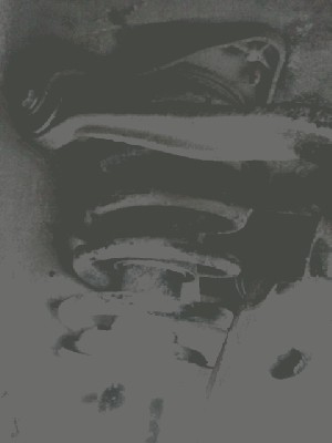 CAM00414.jpg