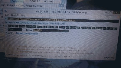 VCDS scr2.jpg