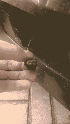 IMAG0781.jpg