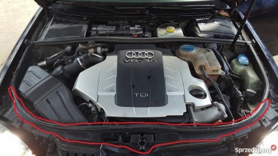 pas_przedni_Audi.jpg