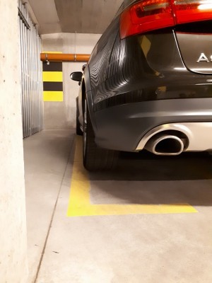 20180914_063548.jpg