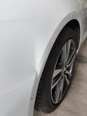20190425_064757.jpg