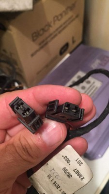 received_484104779013839.jpeg