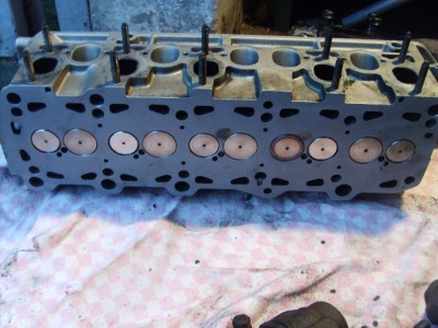 S5001250.JPG