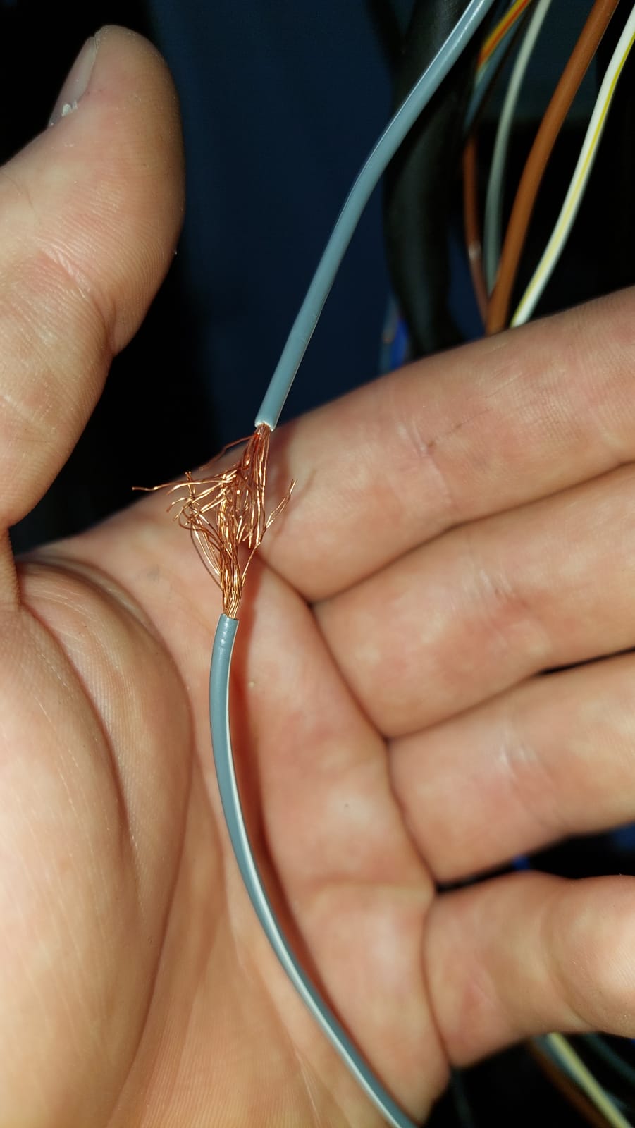 26dce53e-8212-4342-84f8-f4ce5b6cca80.jpg