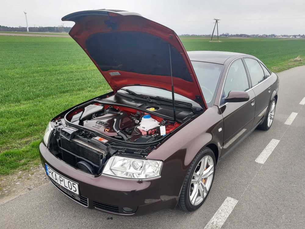 55.jpg