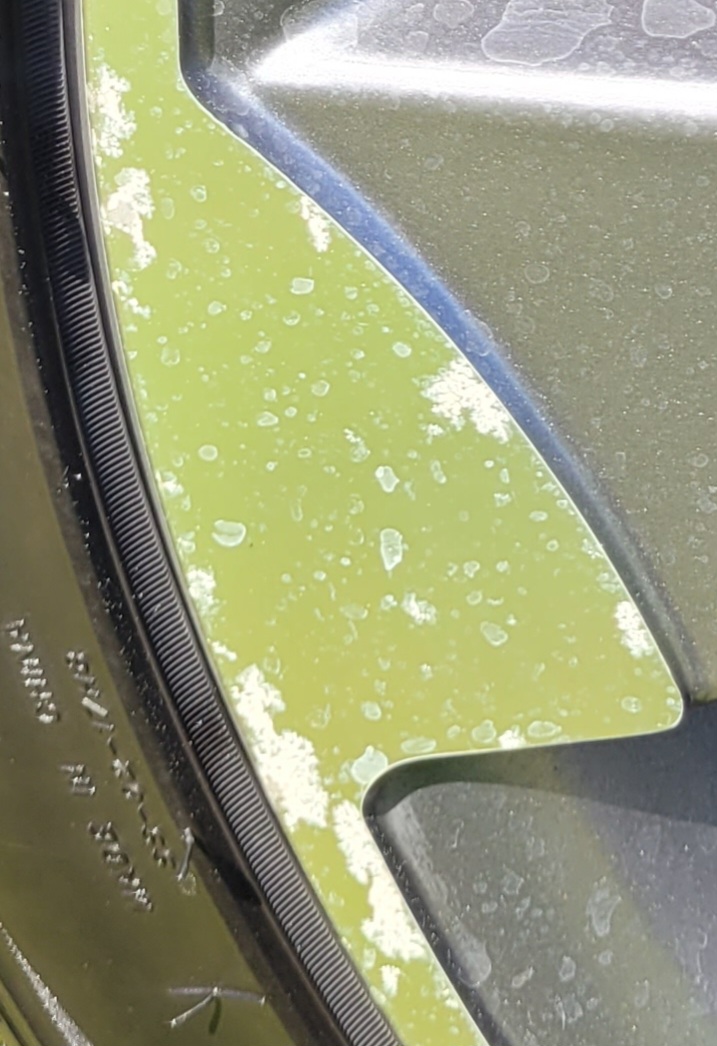 20240501_141102.jpg