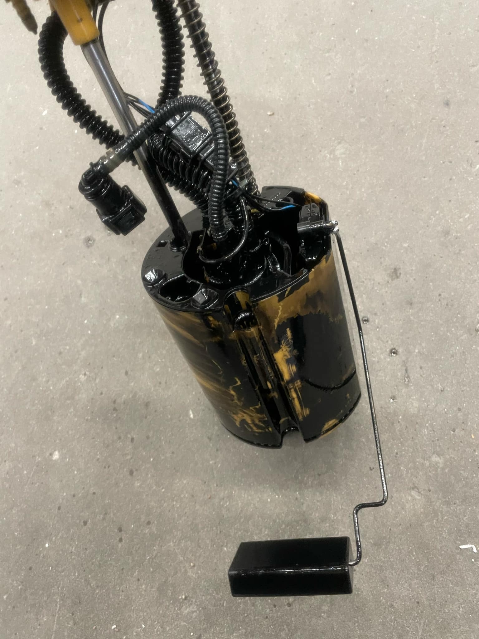 fd84ec99-85e9-4b1e-836e-46e28f47f529.jpg