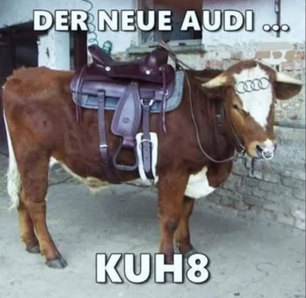 01.JPG