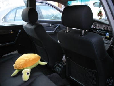 Audi 004.jpg