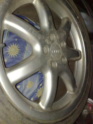 20090216310.jpg
