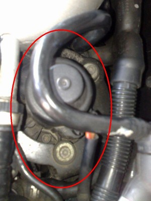 m09042009616.jpg