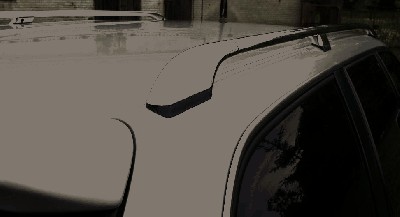 poler. relingii.JPG