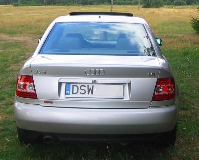 Obraz 024ab.JPG