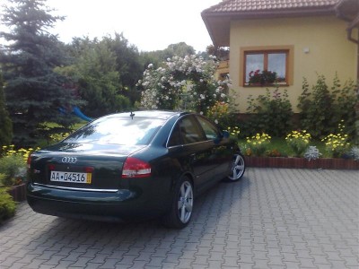 s6 (Medium).jpg
