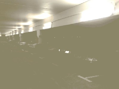 20100104347.jpg