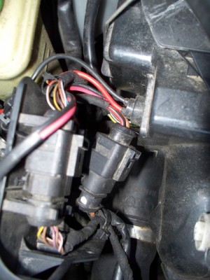 100_7501.JPG