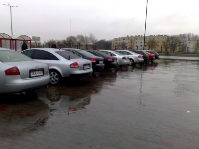 20100411765.jpg