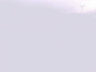 20100411764.jpg