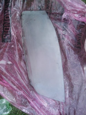 IMAG0092.jpg