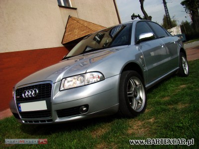 Extra tuning grill od nowej Audi.jpg