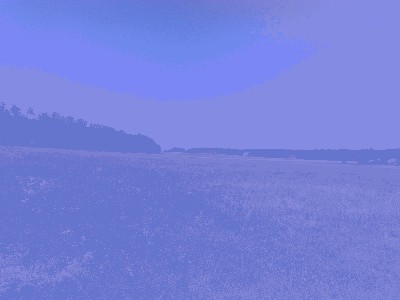 201006291544.jpg