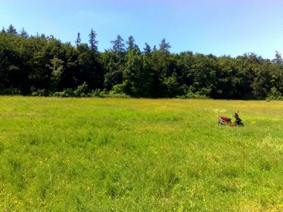 201006291543.jpg