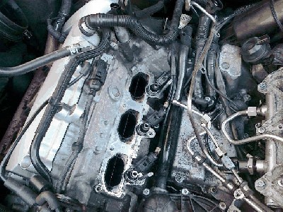 _mini-20101002647.jpg